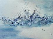 tundra swan watercolour
