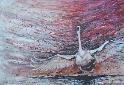 Paintings