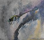 original dragonfly watercolour