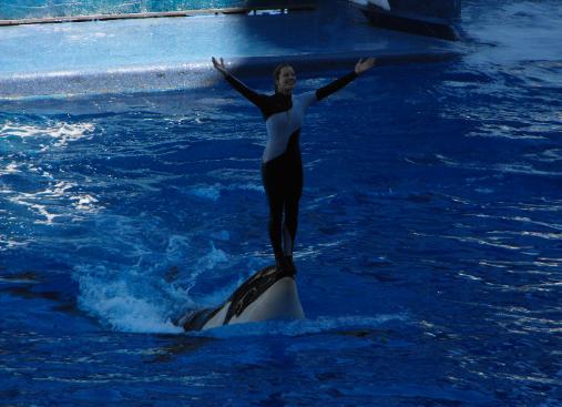 Fun job at Seaworld, Orlando