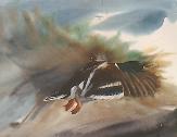 mallard drake watercolour