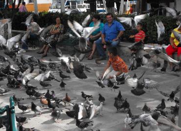 downtown Puerto Vallarta