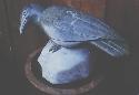 Sculpture