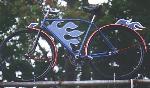 Champion Bicycles store sign
