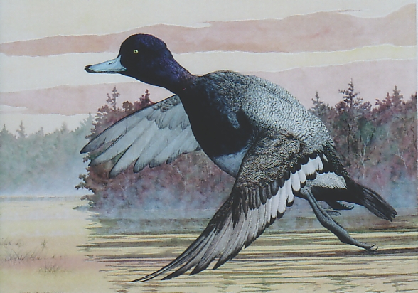 original watercolour on watercolour board
