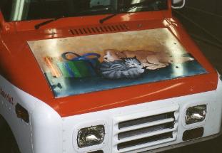 the front hood