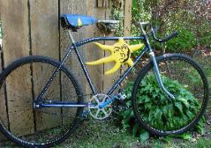 Mr. Sunshine single speed cruiser by Dennis Kalichuk