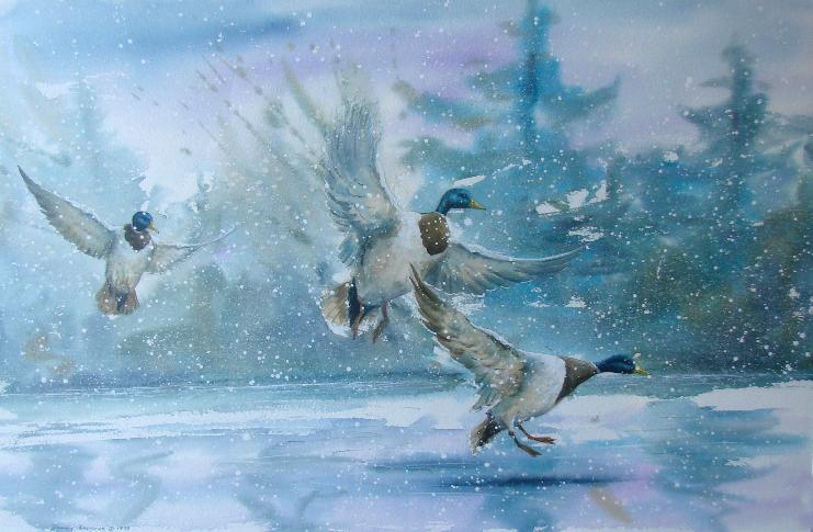 Original Dennis Kalichuk watercolour mallards