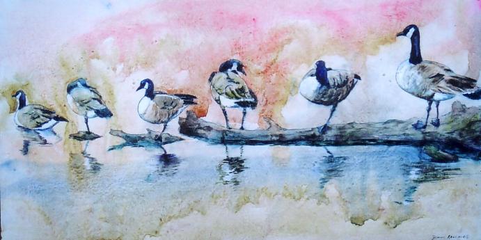 Canada Geese at Lake Margaret