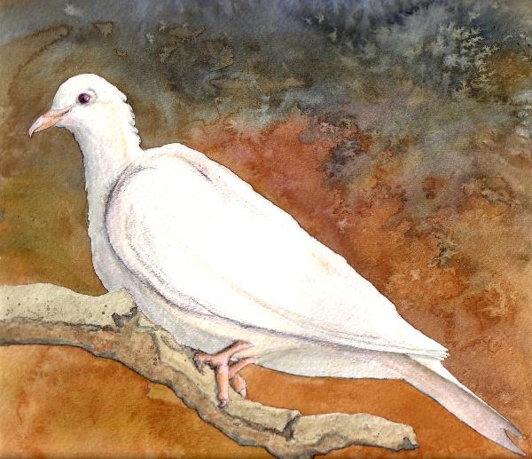 Dennis Kalichuk watercolour