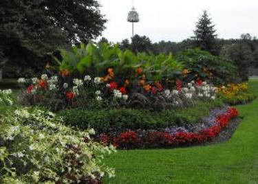 Pinafore floral plantings - click for new window.