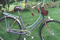 ladies Raleigh lots of chrome