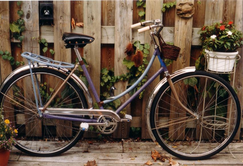 Kalichuk art bike The Goose