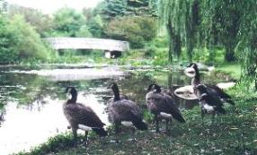 Waterworks Park, St. Thomas - click for info