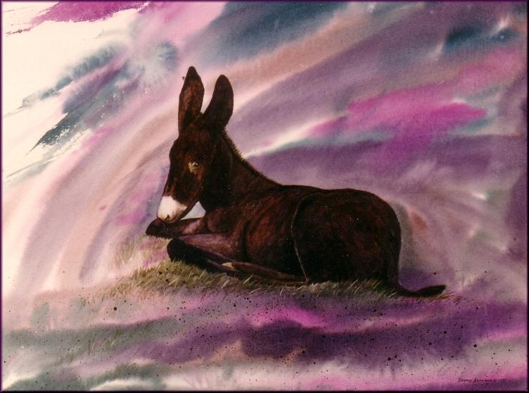 young donkey by Dennis Kalichuk